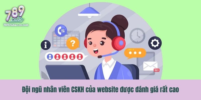 Đội ngũ nhân viên CSKH của website được đánh giá rất cao