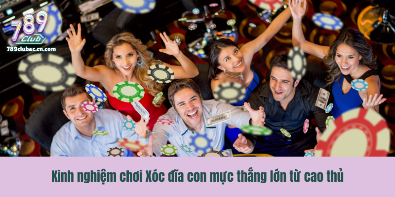 Kinh nghiệm chơi Xóc đĩa con mực thắng lớn từ cao thủ