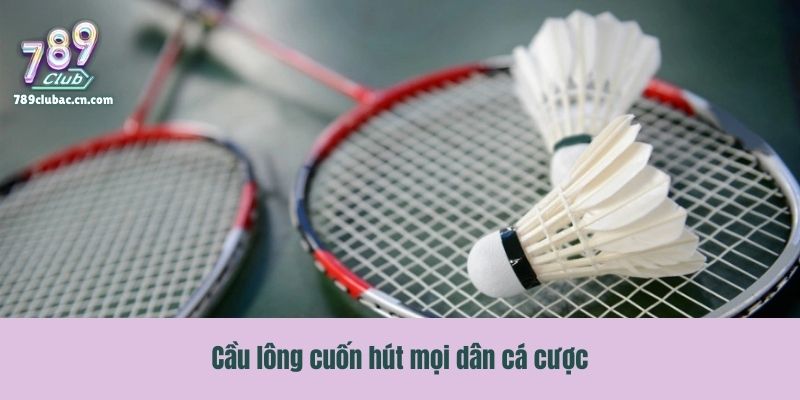Cầu lông cuốn hút mọi dân cá cược