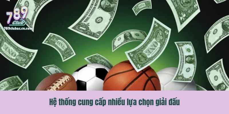 Hệ thống cung cấp nhiều lựa chọn  giải đấu