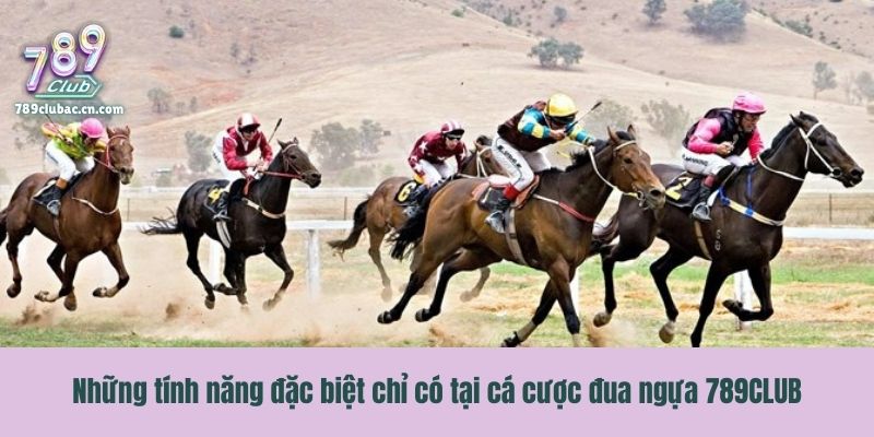Những tính năng đặc biệt chỉ có tại cá cược đua ngựa 789CLUB