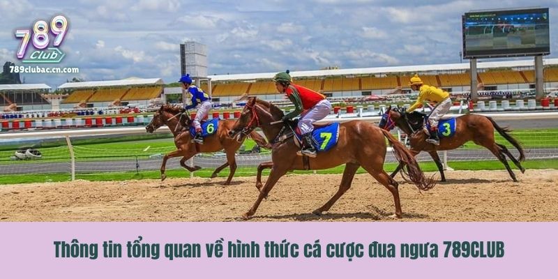 Thông tin tổng quan về hình thức cá cược đua ngưa 789CLUB